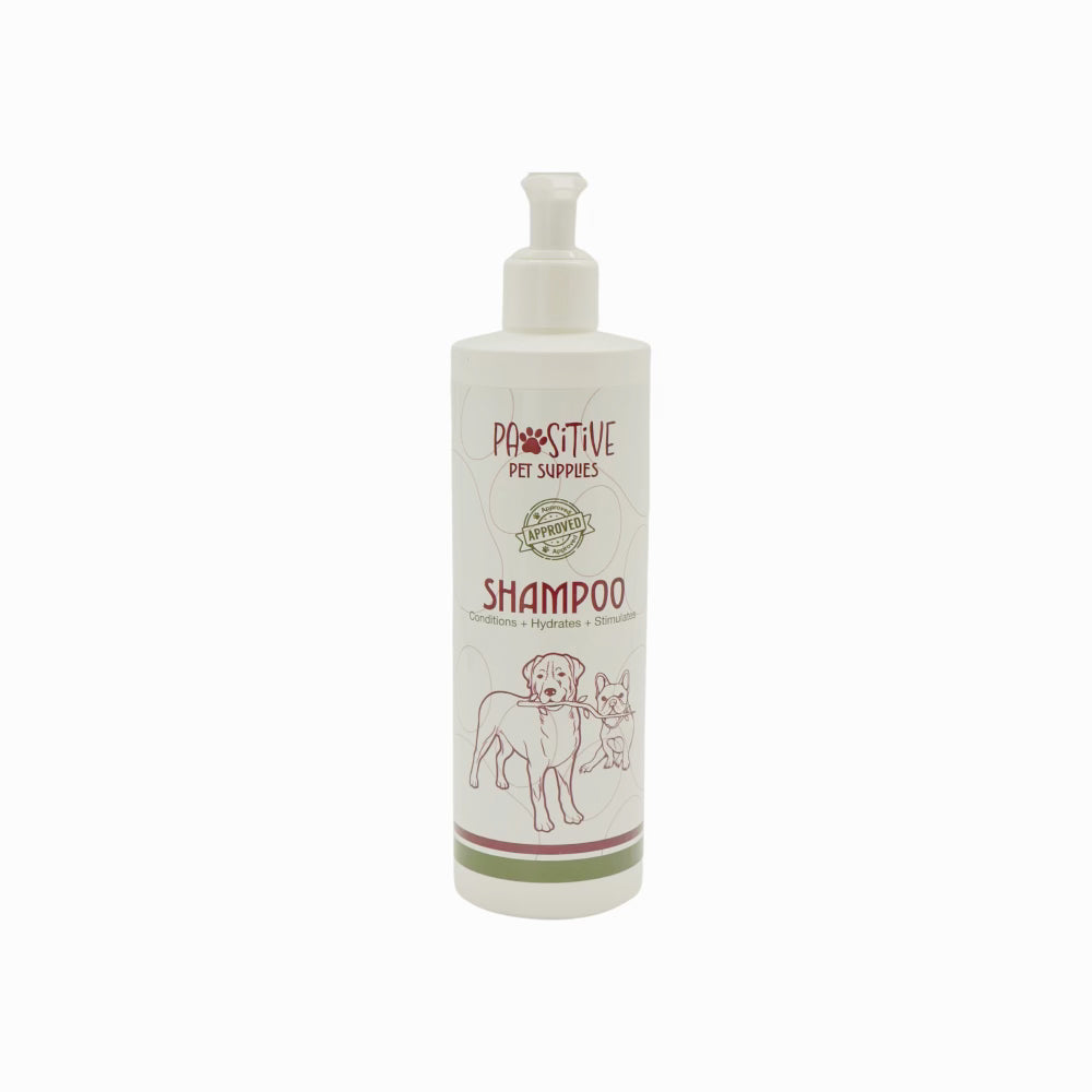 Shampoo