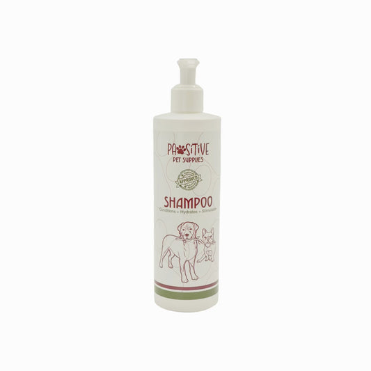 Shampoo